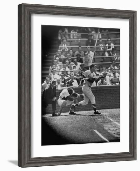 Player Stan Musial Making His 3000Th. Hit-null-Framed Premium Photographic Print