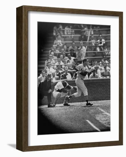 Player Stan Musial Making His 3000Th. Hit-null-Framed Premium Photographic Print