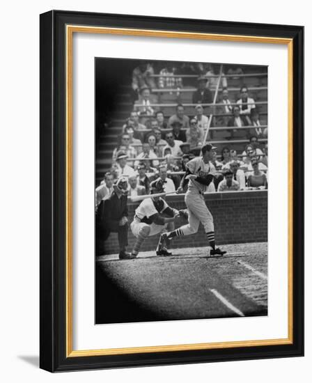 Player Stan Musial Making His 3000Th. Hit-null-Framed Premium Photographic Print