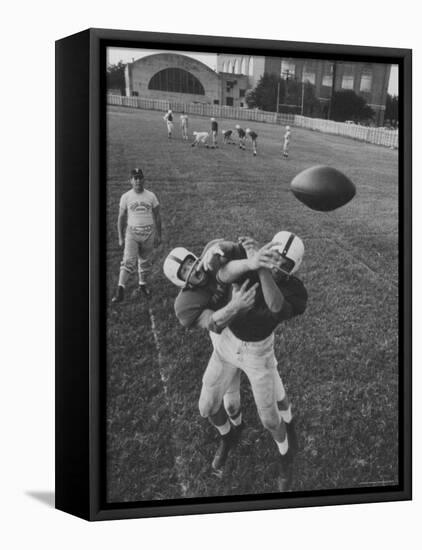 Players Don McClelland and Bobby Conrad During a Pre Season Practice of Texas A and M Football Team-Joe Scherschel-Framed Premier Image Canvas