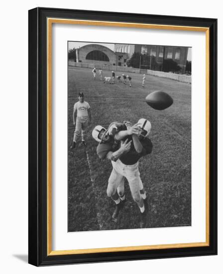 Players Don McClelland and Bobby Conrad During a Pre Season Practice of Texas A and M Football Team-Joe Scherschel-Framed Photographic Print