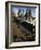 Playfair Steps and Parliament, Edinburgh, Scotland-Neale Clarke-Framed Photographic Print