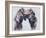 Playfight, 2001-Mark Adlington-Framed Giclee Print