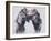 Playfight, 2001-Mark Adlington-Framed Giclee Print