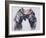 Playfight, 2001-Mark Adlington-Framed Giclee Print