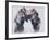 Playfight, 2001-Mark Adlington-Framed Giclee Print