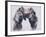 Playfight, 2001-Mark Adlington-Framed Giclee Print