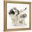 Playful Border Collie Puppies, 6 Weeks-Mark Taylor-Framed Premier Image Canvas