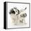 Playful Border Collie Puppies, 6 Weeks-Mark Taylor-Framed Premier Image Canvas