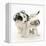 Playful Border Collie Puppies, 6 Weeks-Mark Taylor-Framed Premier Image Canvas