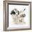 Playful Border Collie Puppies, 6 Weeks-Mark Taylor-Framed Photographic Print