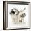 Playful Border Collie Puppies, 6 Weeks-Mark Taylor-Framed Photographic Print