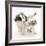 Playful Border Collie Puppies, 6 Weeks-Mark Taylor-Framed Photographic Print