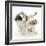 Playful Border Collie Puppies, 6 Weeks-Mark Taylor-Framed Photographic Print