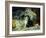 Playful Kittens-Julius Adam-Framed Giclee Print