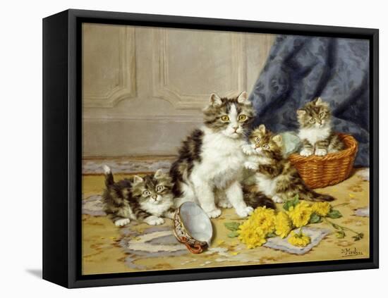 Playful Kittens-Daniel Merlin-Framed Premier Image Canvas