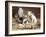 Playful Kittens-Carl Reichert-Framed Giclee Print