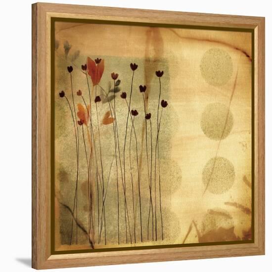 Playful Meadow I-Fernando Leal-Framed Stretched Canvas