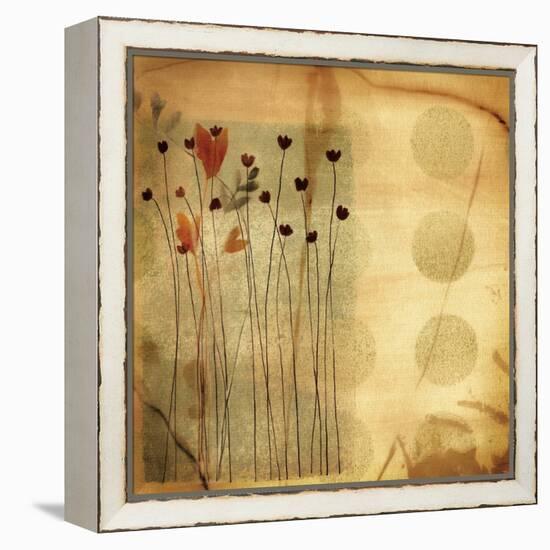 Playful Meadow I-Fernando Leal-Framed Stretched Canvas