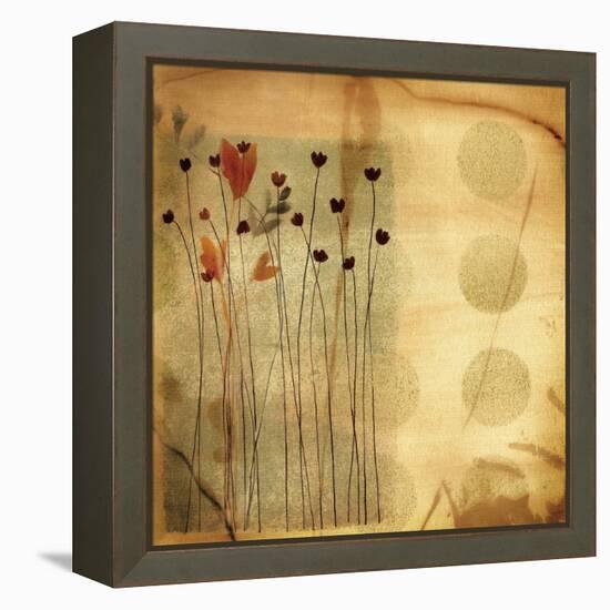 Playful Meadow I-Fernando Leal-Framed Stretched Canvas