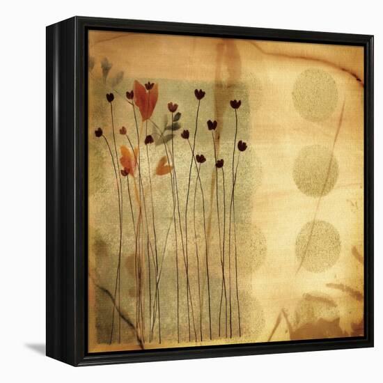 Playful Meadow I-Fernando Leal-Framed Stretched Canvas