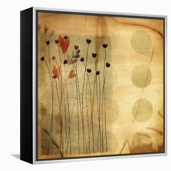 Playful Meadow I-Fernando Leal-Framed Stretched Canvas