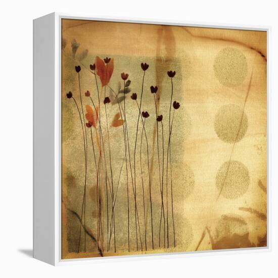 Playful Meadow I-Fernando Leal-Framed Stretched Canvas