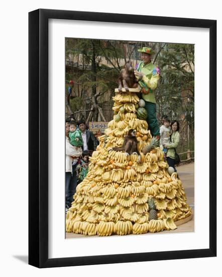 Playful Orangutans, Seoul, South Korea, c.2007-Lee Jin-man-Framed Photographic Print