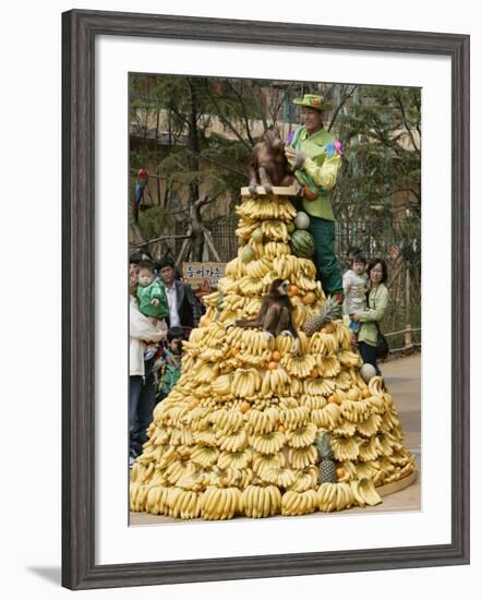 Playful Orangutans, Seoul, South Korea, c.2007-Lee Jin-man-Framed Photographic Print