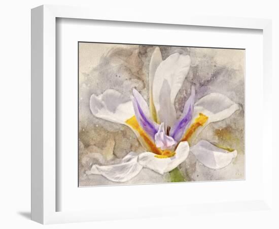 Playful Petals I-Leda Robertson-Framed Photographic Print