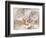 Playful Petals I-Leda Robertson-Framed Photographic Print