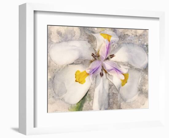 Playful Petals II-Leda Robertson-Framed Photographic Print