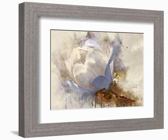 Playful Petals IV-Leda Robertson-Framed Photographic Print