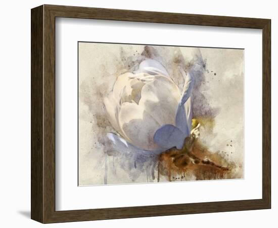 Playful Petals IV-Leda Robertson-Framed Photographic Print