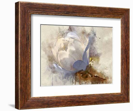 Playful Petals IV-Leda Robertson-Framed Photographic Print