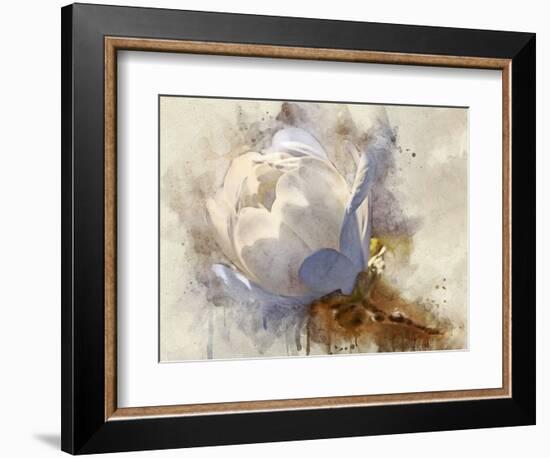 Playful Petals IV-Leda Robertson-Framed Photographic Print