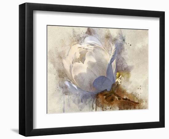 Playful Petals IV-Leda Robertson-Framed Photographic Print