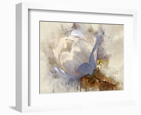 Playful Petals IV-Leda Robertson-Framed Photographic Print