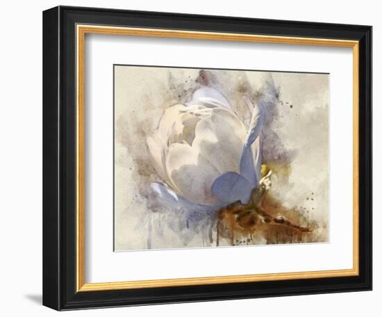 Playful Petals IV-Leda Robertson-Framed Photographic Print