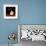 Playful Posies II-Jocelyne Anderson-Tapp-Framed Giclee Print displayed on a wall