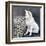 Playful Pup I-Carol Dillon-Framed Art Print