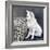 Playful Pup I-Carol Dillon-Framed Art Print