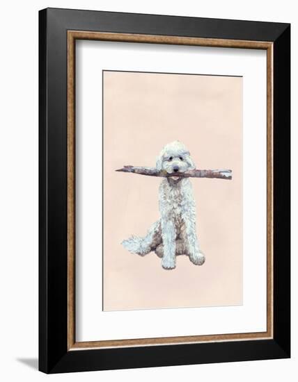 Playful Pups II-Debbie Nicholas-Framed Photographic Print