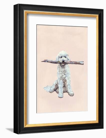 Playful Pups II-Debbie Nicholas-Framed Photographic Print