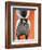 Playful Skunk-Madelaine Morris-Framed Premium Giclee Print