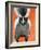 Playful Skunk-Madelaine Morris-Framed Art Print