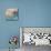 Playful Spirit-Amy Donaldson-Mounted Giclee Print displayed on a wall