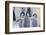 Playful Young Emperor Penguins-DLILLC-Framed Photographic Print