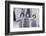 Playful Young Emperor Penguins-DLILLC-Framed Photographic Print