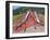 Playground, Markeaton Park, Derby-Andrew Macara-Framed Giclee Print